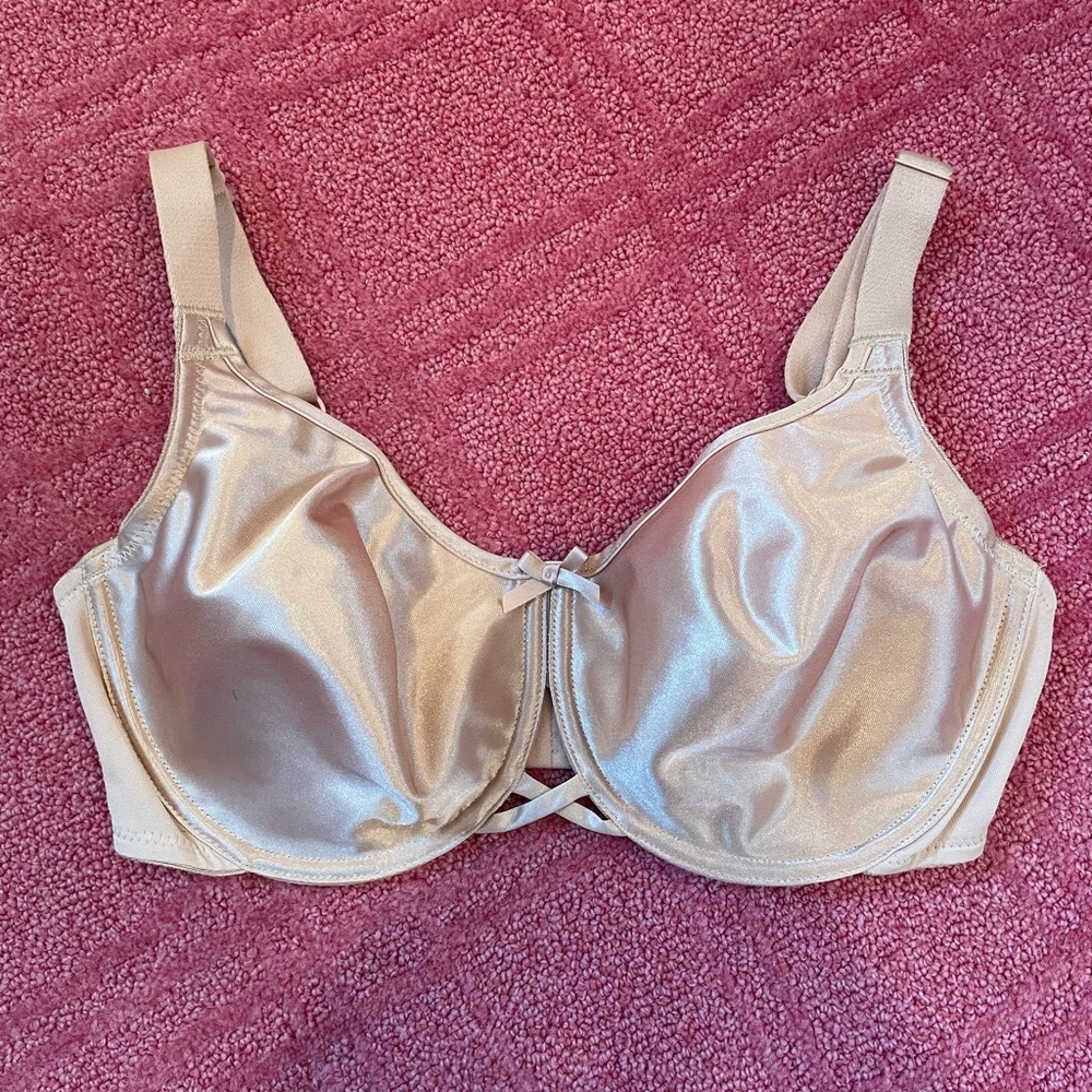 Va Bien Minimizer Bra with Underwire